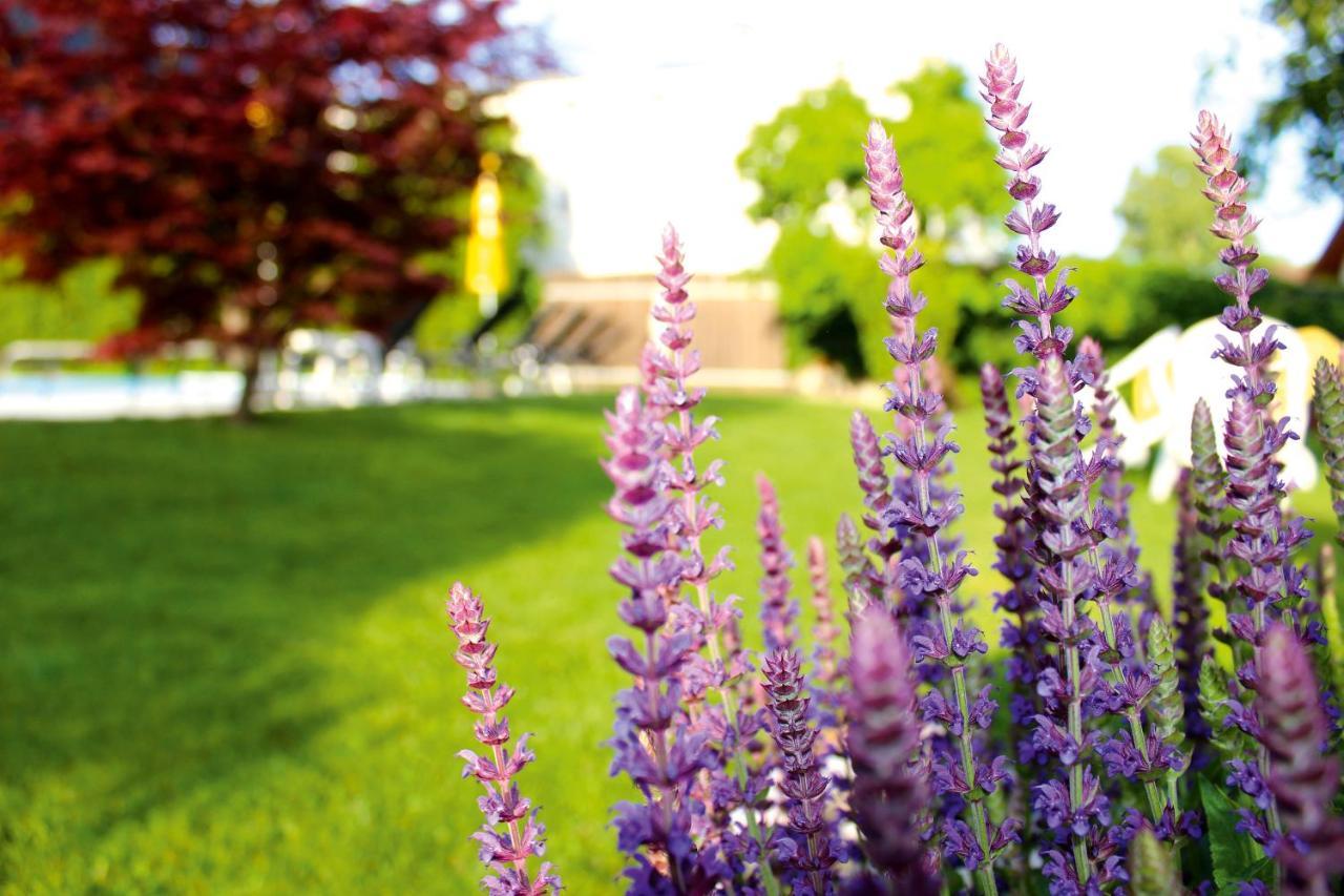 Pension Sattlerenglhof Latsch Exterior foto
